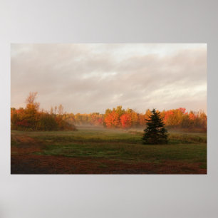 Poster Belle ferme Misty Morning Serenity