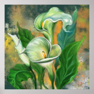 Poster Belle Fleur de Calla Lily - Dessin d'art