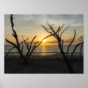 Poster Belle folie matinale