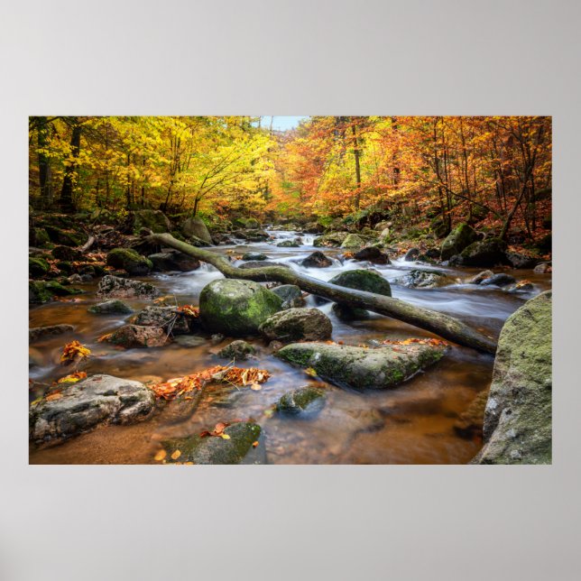 Poster Belle forêt d'automne (Devant)