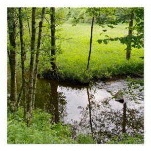 Poster Belle forêt et rivière belge, voyage