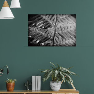 Poster Belle fougère noir et blanc