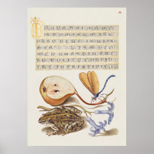 Poster Belle illustration botanique Vintage