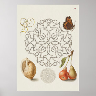 Poster Belle illustration botanique Vintage