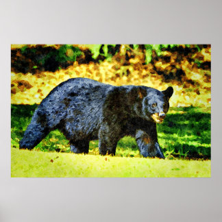 Poster Belle Ours Noir Faune Aquarelle Peintures