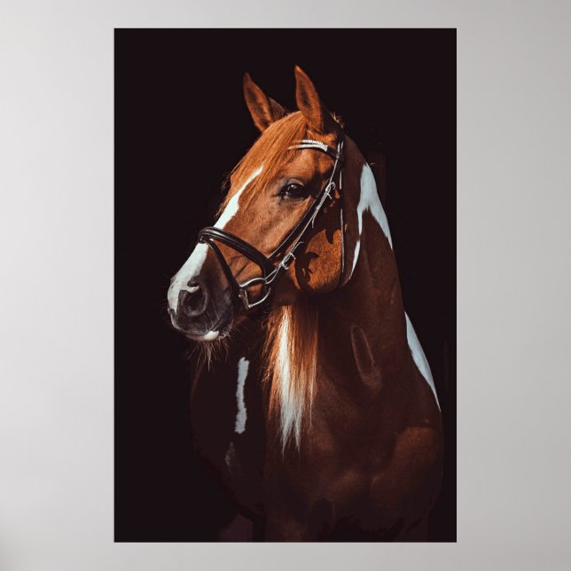 Poster Belle peinture Brown Cheval Portrait Photo (Devant)