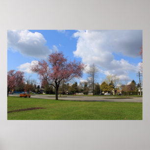 Poster Belle photographie de paysage du parc de printemps