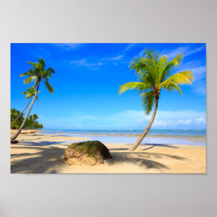 Poster Belle plage tropicale avec palmiers