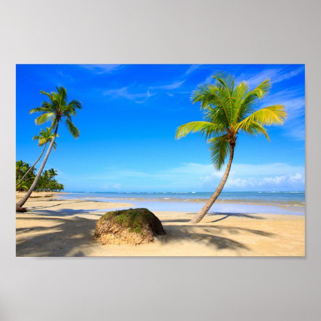 Poster Belle plage tropicale avec palmiers (Devant)