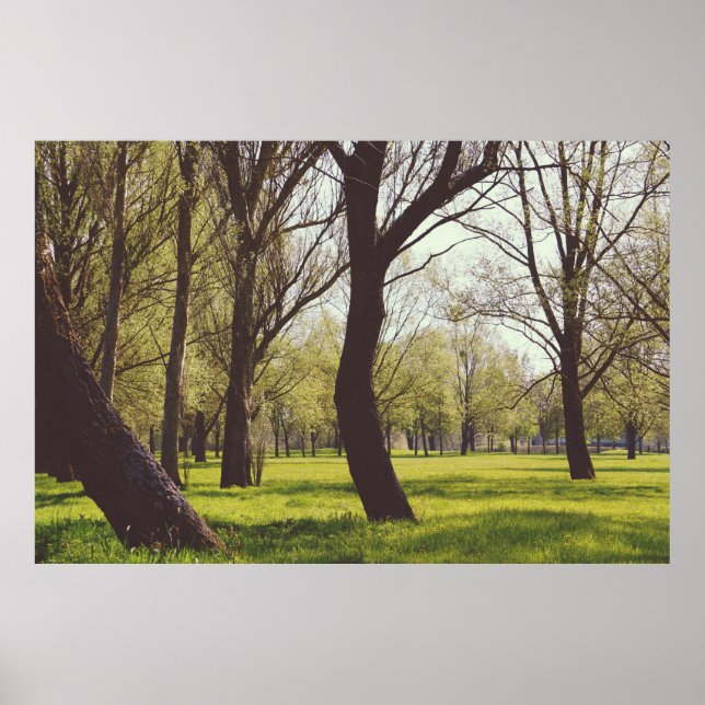 Poster Belle prairie (Devant)