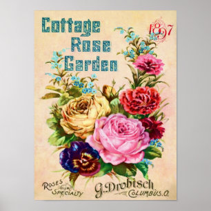 Poster Belle publicité de catalogue de fleurs Vintages