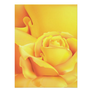Poster Belle Rose Jaune
