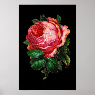 POSTER BELLE ROSE ROSE ROSE