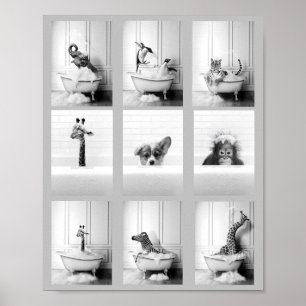 Poster Belle salle de bain Animaux dans Baignoire