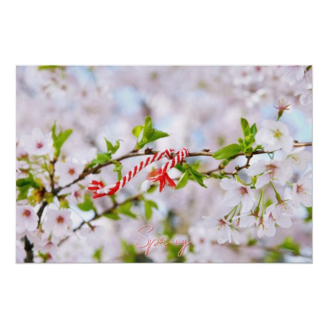 Poster Belle salutation de printemps (Devant)