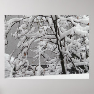 Poster Belle scène d'hiver