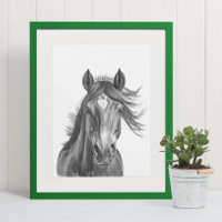 Belle tête de cheval Portrait noir blanc