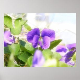 Poster Belle violette de ressort
