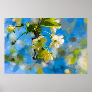 Poster Belles fleurs de cerisiers