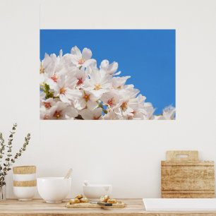 Poster Belles fleurs de printemps