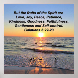 POSTER BELLES GALATIENNES 5 SOLEIL