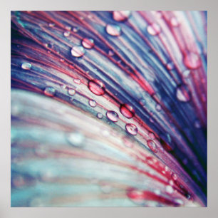 Poster Belles gouttes de fleurs rose Abstrait
