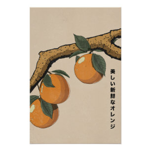 Poster Belles oranges fraîches
