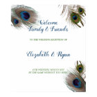 Belles plumes de paon, accueil Mariage