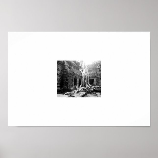 Poster Belles Racines - Angkor Wats - Cambodge (Devant)