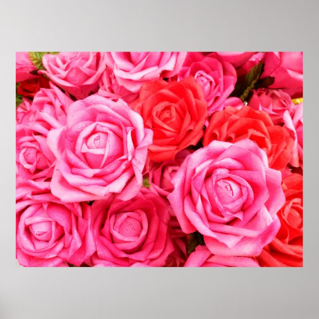 Poster Belles roses rouges et roses (Devant)