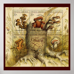 Poster Belles Timbres de Champignons ~ Toadstool Ukraine 
