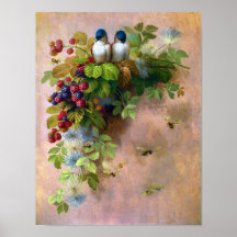 Belles vignes de Berry et oiseaux bleus
