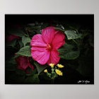 Belles Visions Hibiscus Floral Wall Art GPsg