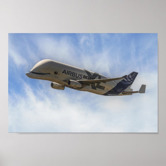 Poster Beluga (Devant)