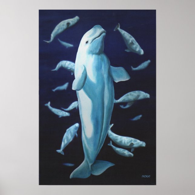 Poster Beluga Whale Art Imprimer Marinelife Whale Peintur (Devant)