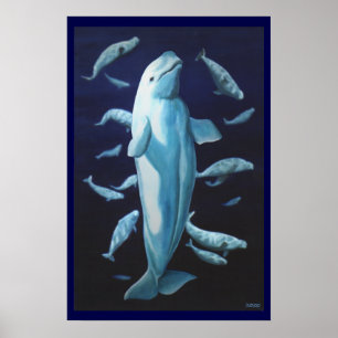 Poster Beluga Whale Art Imprimer Marinelife Whale Peintur