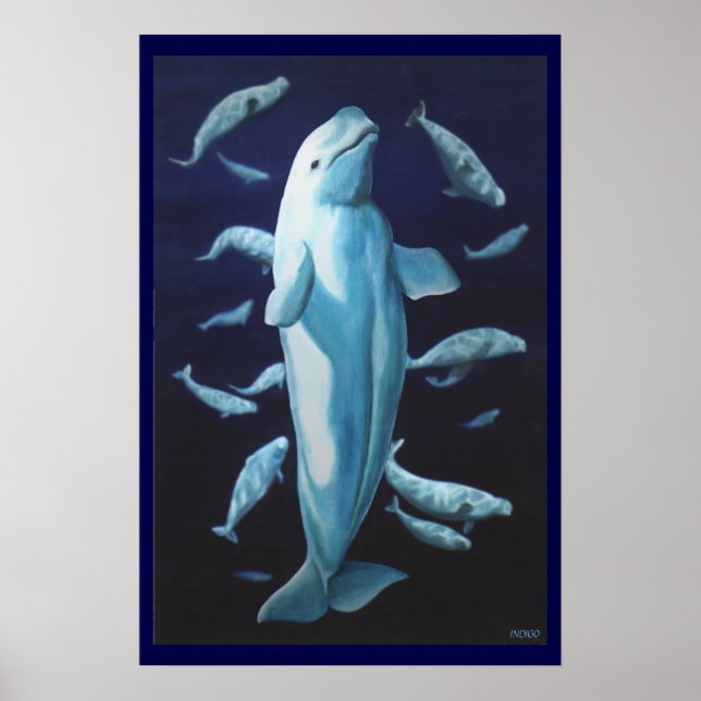 Poster Beluga Whale Art Imprimer Marinelife Whale Peintur (Devant)
