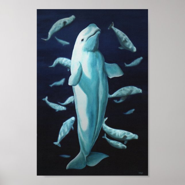 Poster Beluga Whale Art Imprimer Marinelife Whale Peintur (Devant)