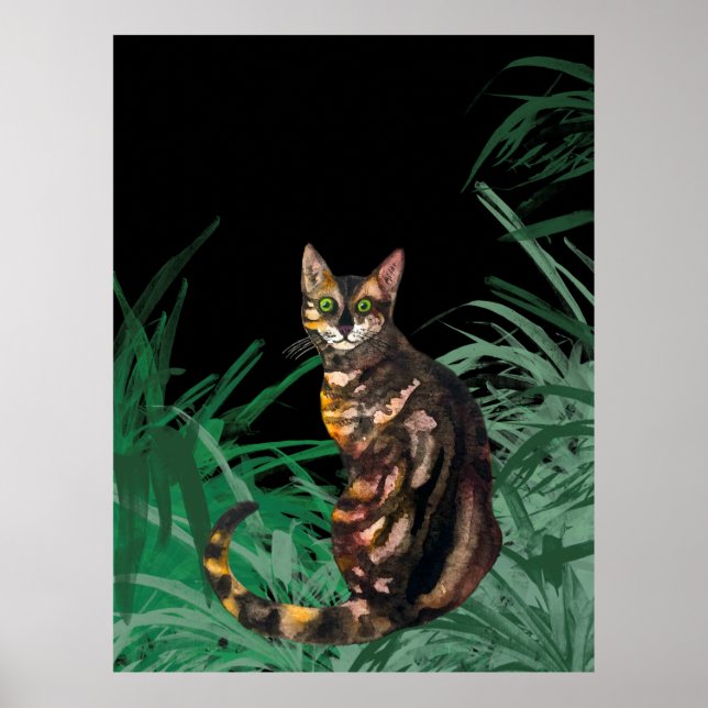 Poster Bengale (Devant)
