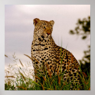 Poster Berge de Dudley