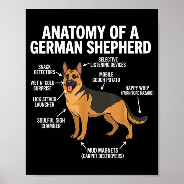 Poster Berger allemand  (Devant)