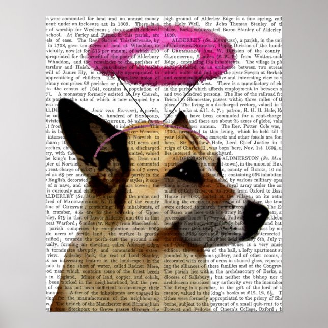 Poster Berger Allemand Avec Halo Rose (Devant)