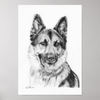Poster Berger allemand en graphite