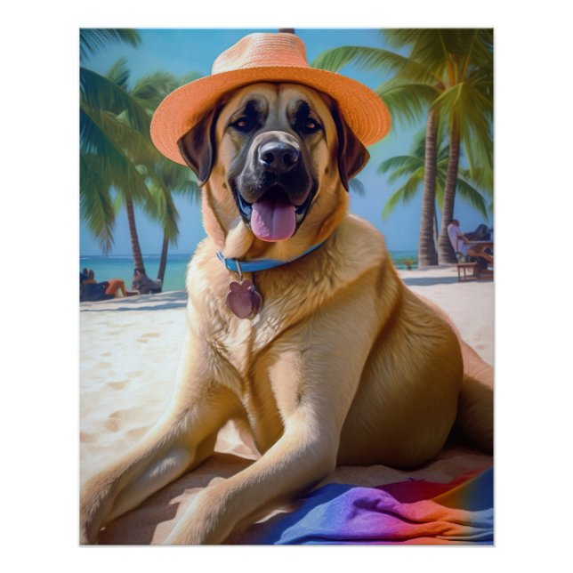 Poster Berger anatolien sur la plage, cadeau d'été amoure (Devant)