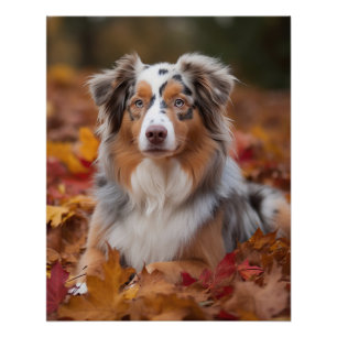 Poster Berger australien en automne Leaves automne Inspir