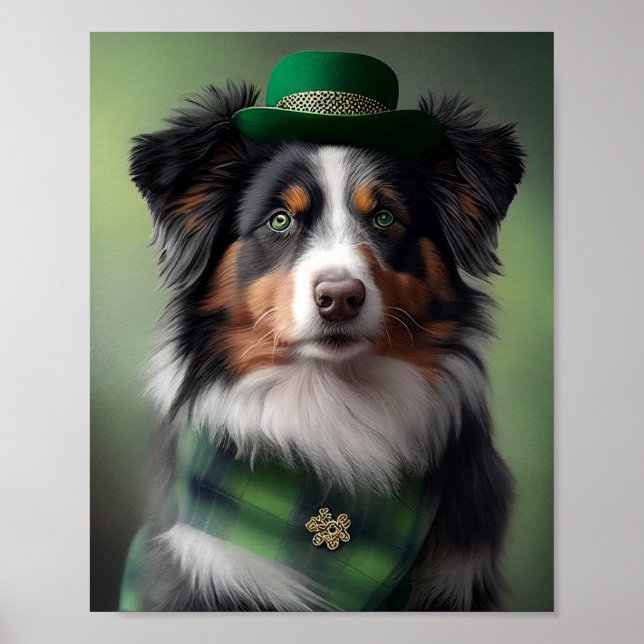 Poster berger australien saint patrick (Devant)