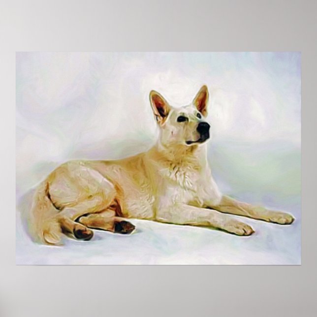 Poster Berger blanc-allemand (Devant)