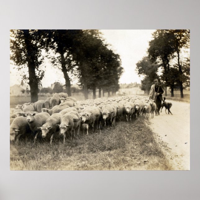 Poster Berger de France 1921 (Devant)