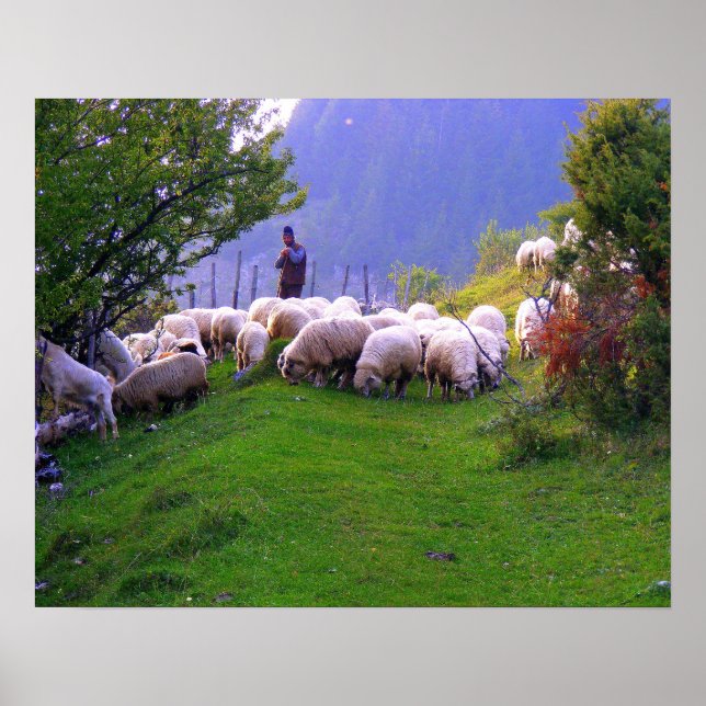 Poster Berger et son mouton (Devant)