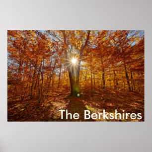 Poster Berkshires Sunset Vibrant Fall Foliing, Western MA